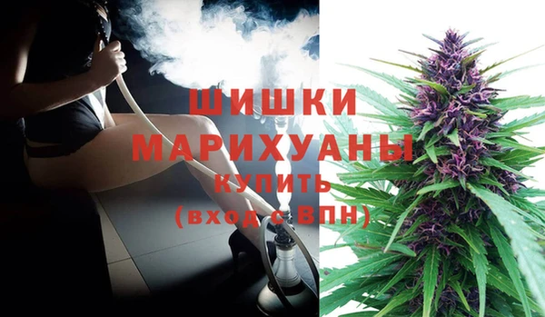СК Алзамай