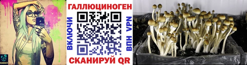 Галлюциногенные грибы прущие грибы  кракен как войти  площадка как зайти  Кинель 