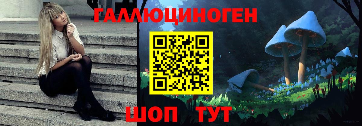 Меф мяу мяу Кинель