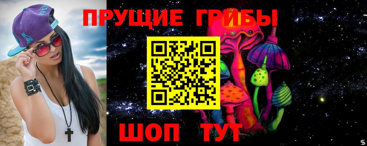где найти   Галлюциногенные грибы прущие грибы  Вход с VPN  Галлюциногенные грибы GOLDEN TEACHER  Кинель 